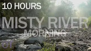 Misty River Morning | Flowing water | nature sounds for relaxation | meditation | Nature Ambience