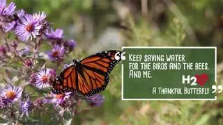Metropolitan's Conservation Campaign