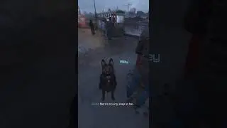 Secret dog in call of duty #prettycool #gaming #callofduty #ghost#riley#fyp