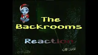 PaperSIn Presents | Backrooms - Found Footage by A-Sync Research | A PaperSin Reaction