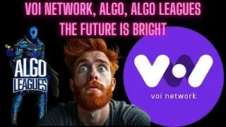 VOI NETWORK DEEP DIVE | 2.5 MIL MC | HUGE UPSIDE