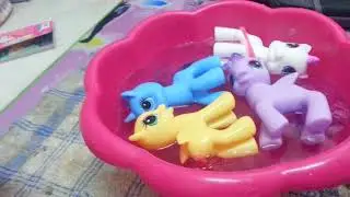 Flutter Dash life (A sad, happy and lovely story Part 2)