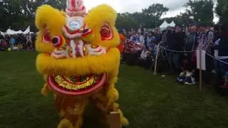 Edmonton Heritage Festival 2017 -  Chinese lion dance