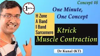 #Shorts Ktrick - Muscle Contraction I NEET I Dr Kunal Tatte (KT)