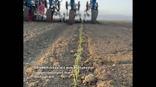 Zwiebelhacken mit fendt gt und Automatischer Kameralenkung