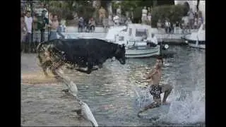 Men Without Hats   Walk On Water