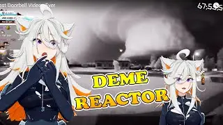 DEME-CHAN REACTOR | Daily Dose Of Internet Memes Compilation | Try Not to Laugh 😆🎉