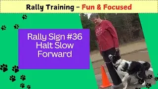 Rally Sign #36 Halt Slow Forward from SIT &ndash; Dog Training Fun & Focused