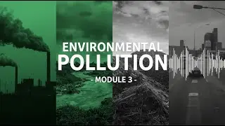 Is Noise Pollution the MOST NEGLECTED Environmental Issue?