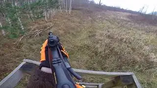 Merkel Helix With aimpoint H1