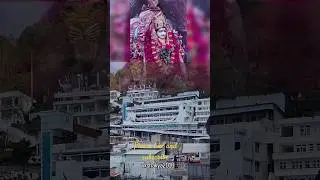 Jai Mata Di 🙏#vaishnodevi  #vkshakya2016 #shorts #jaimatadi #ytshorts #माता #mata #shortsfeed #yt