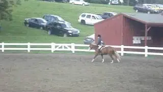 My Dream Horse ID # 1540921 - Here Am I