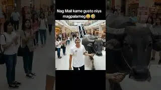 haha Sosyal ng kalabaw ko