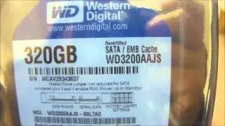 Жесткий диск Western Digital Caviar Blue WD3200AAJS 320 ГБ 7200 об/мин SATA