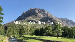Alberta, Wild Rose Country