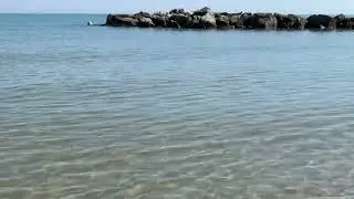 mare di Viserba
