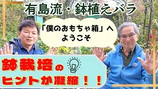 【有島薫先生】「僕のおもちゃ箱」と呼ぶその場所は、驚くことにすべてバラも鉢植え