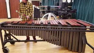 Strive To Be Happy - Ivan Trevino - Marimba Solo