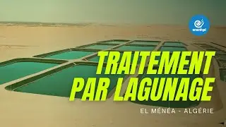 Station de traitement des eaux us&eacute;es par lagunage El M&eacute;n&eacute;a