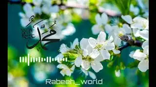 Heart touching islamic whatsapp status malayalam | New Madh Songs Status | Islamic Status Video