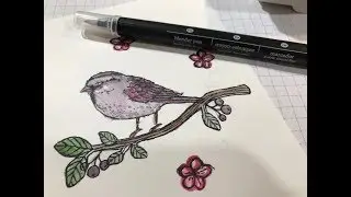A2Zstamping Weekly Live and Blender Pen Demo October 17, 2017 - Episode 141