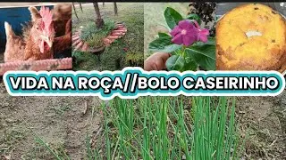 VIDA NA ROÇA//FIZ BOLO CASEIRO/HORTA//AVES 🐓🐖