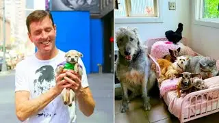 Man adopts all of the overlooked senior animals from shelter