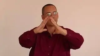 How was Qi discovered?