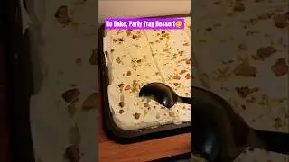 No Bake,Creamy Party Tray Pudding😋#tasty#yummy#food#pudding#dessert#easypudding#sweet#shorts#viral