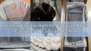 Review Ioview Airline Approved Pet Carrier for Cats and Small Dogs, Breathable and Collapsible Desig