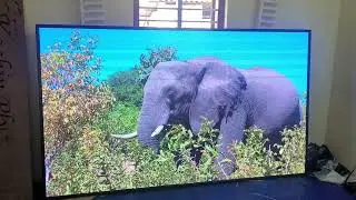 P2.5 indoor LED video display