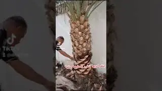 ٢٩ نوفمبر ٢٠٢٣