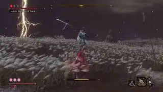 Isshin the sword saint: No Damage (Charmless, Demon bell)