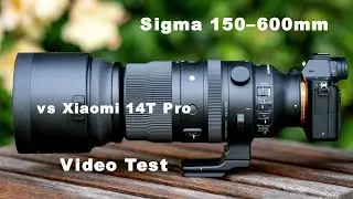 CanonR6MarkII +Lens  Sigma 150&ndash;600mm f/5&ndash;6.3 for Canon EF vs Xiaomi 14T Pro &mdash; Video Test.