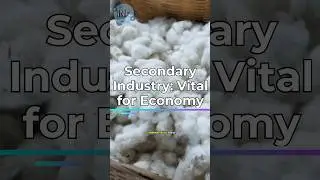 Why Secondary Industry is CRUCIAL for Economic Development