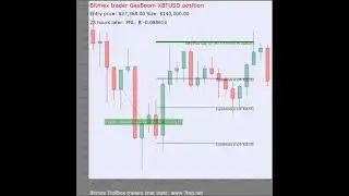 Multiple Bitmex Trollbox trades Visualised Part 30