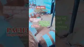 cargo courier service Door delivery online tracking number