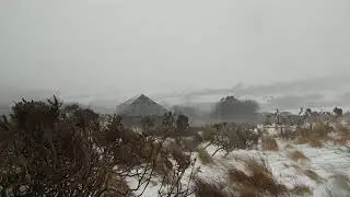 Snow1