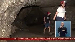 Senzacionalno otkriće na Ozrenu - otkrivena nova vrsta pauka