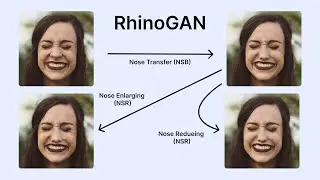 RhinoGAN:  nose transferring, nose enlarging and nose reducing