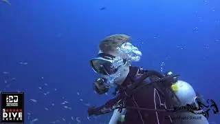 Guide dive at Cura&ccedil;ao