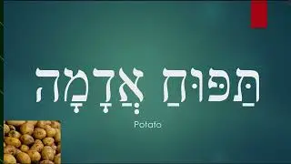 Hebrew Fruits and Vegetables (pronunciation + nikkud)