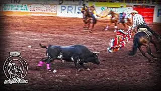 BUENA SALIDA!! EL PAJARITO DE RANCHO NEGRO EN SAN NICOLAS DE IBARRA