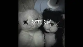 Milky Chance-Stolen Dance(speed up)