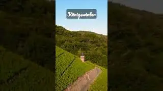 #K&ouml;nigswinter #Urlaub #bonn #rhein  #weinsberg #drachenfels #drachenburg