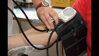 The Top 10 Best High Blood Pressure Fighter Diets