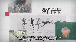 Biodiversity Genomics Europe, a scientific introduction