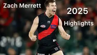 Zach Merrett highlights from the 2025 afl season #afl #2025 #essendonfc 