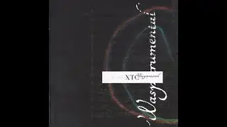 XTC &ndash; Waspstrumental (2002) FULL ALBUM - Pop