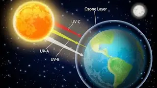 The Ozone Layer Explained: Earth's Invisible Shield!